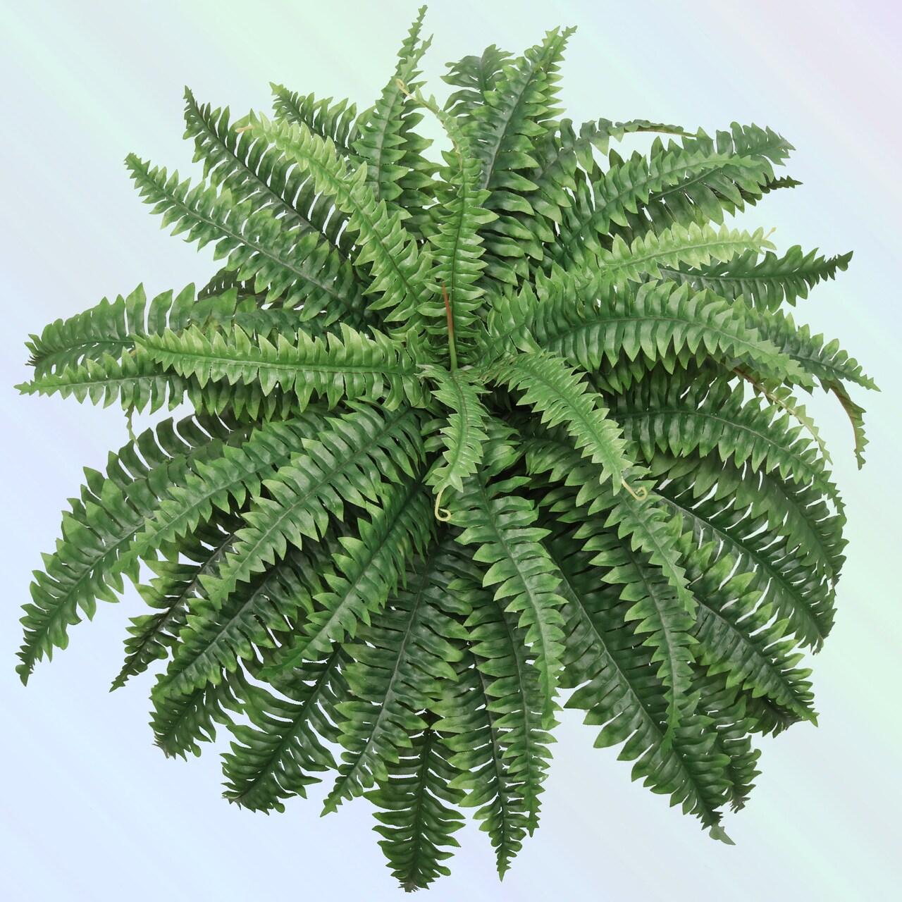 Boston Fern Plant 34" Wide, 49 Silk Fronds, UV Resistant Faux Greenery for Indoor & Outdoor Decor